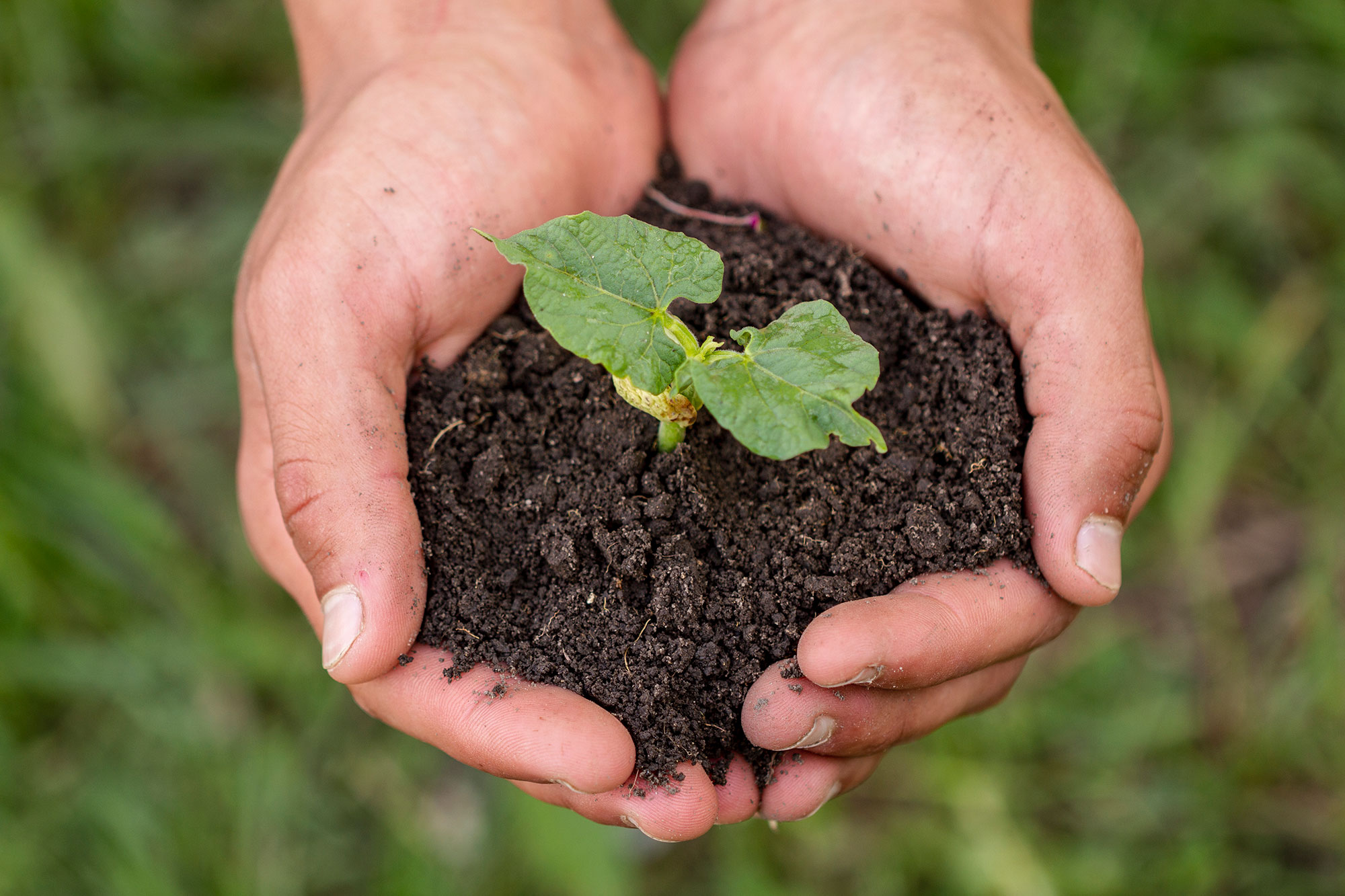 Food Waste Management